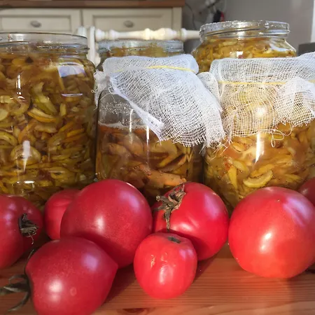 Kashubian & Starkowa Huta