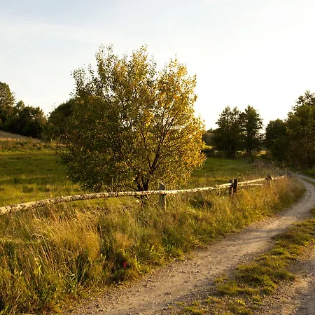 Nyaraló Kashubian &