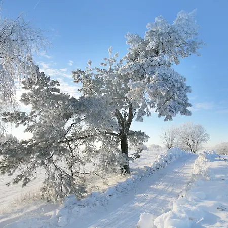 Kashubian & Feriehus