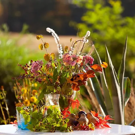 Feriehus Kashubian & Starkowa Huta