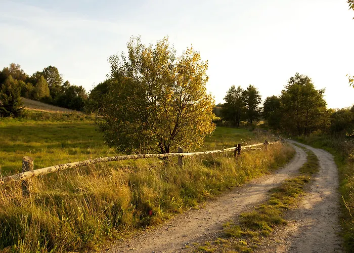 Semesterbostad Kashubian &