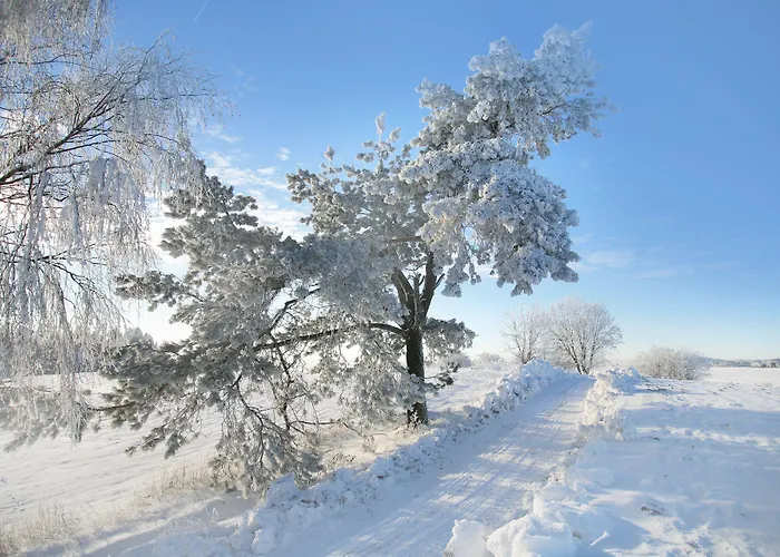 Kashubian & Semesterbostad