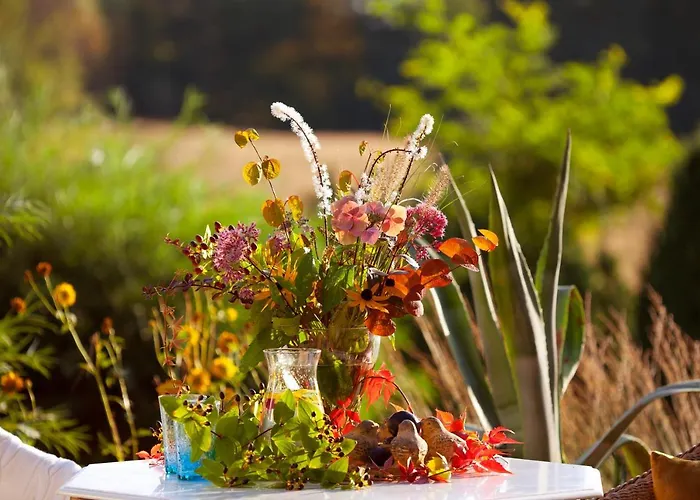 Semesterbostad Kashubian & Starkowa Huta